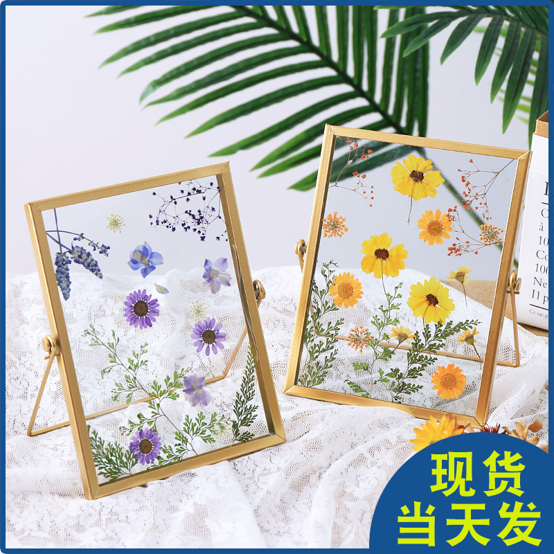Dried Flower Photo Frame Scandinavian Style Geometric Metal Glass Table Plant Specimen DIY Embossed 4 6 7inch Creative Gold
