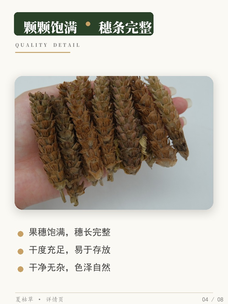 Dried Prunella Vulgaris Herb Cut Segments Xia Ku Cao for Herbal Tea and Decoction 500g key features