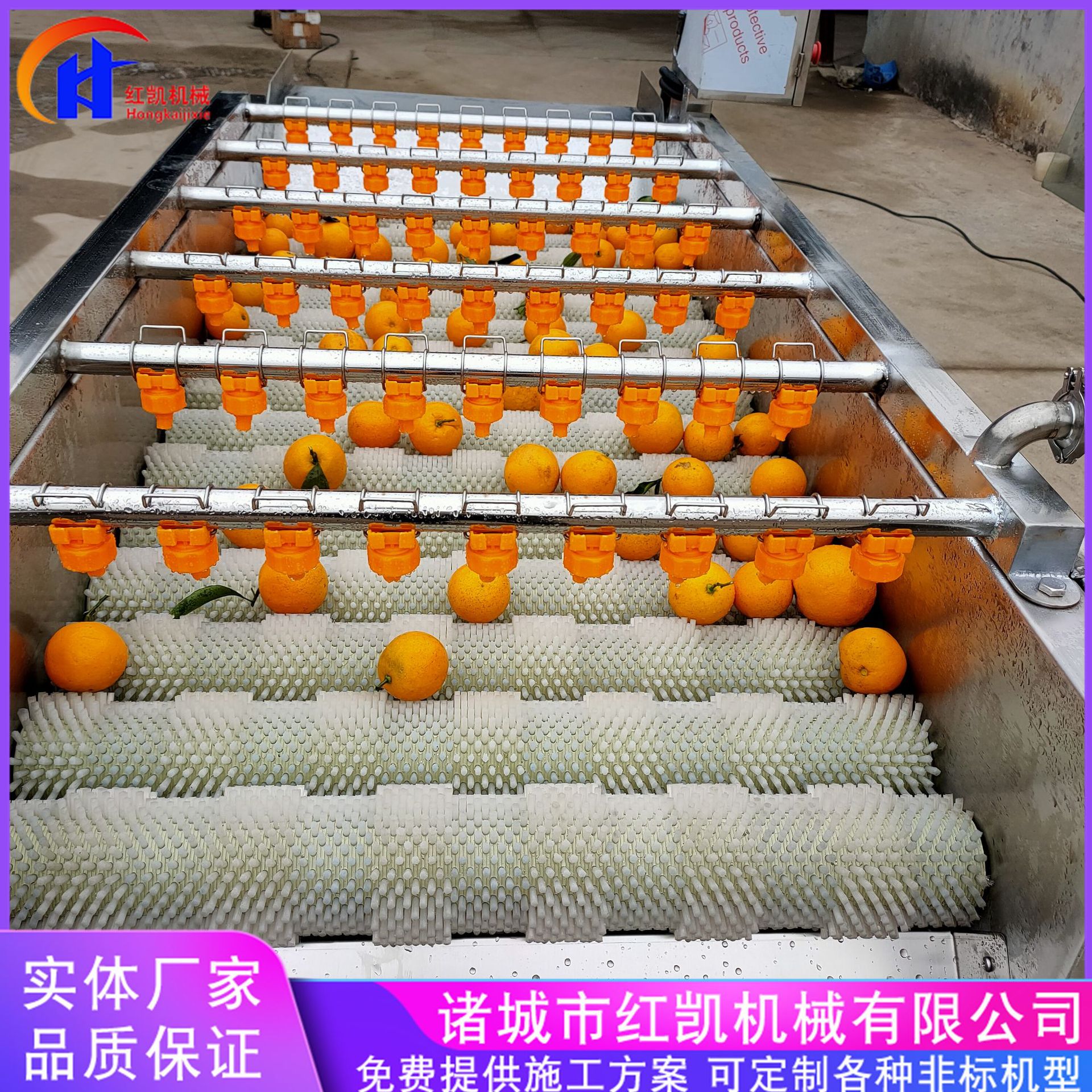 不锈钢生蚝毛辊清洗机 海蛎子全自动洗泥清洗机  平行毛辊清洗机