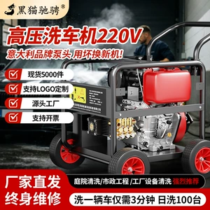 Black Cat Diesel Gasoline High-Pressure Car Washer High-Power Cleaning Machine Commercial Industrial Grade Water Gun Directly from Manufacturer