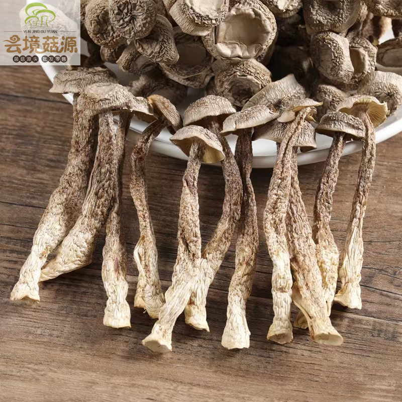 1491d875bc26495fdb9d828c458acc