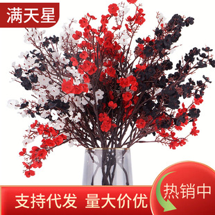 5��M���ǻ�c���滨�D÷�ٻ������Ҿ��b廨�[���羳���컨