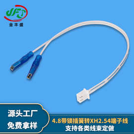 厂家供应冰箱电路板控制板一拖二转换线4.8带锁插簧转XH2.54线束