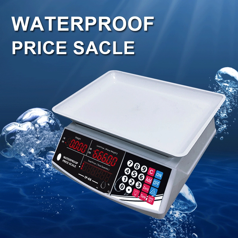 Внешняя торговля Английские водонепроницаемые ценовые весы 30 кг/40 кг Коммерческие Электронные весы платформы водные морепродукты сказали моющиеся