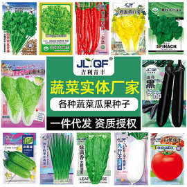 实体工厂批发蔬菜种子春夏四季瓜果水果种籽盆栽蔬菜菜籽菜种种孑