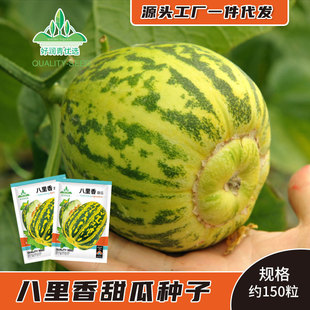 ��������ϷN�Ӗ|����Ƥ��ϷN�ѱ�Ƥ���ٴ��ļ�����Ϲ�ˮ���N��