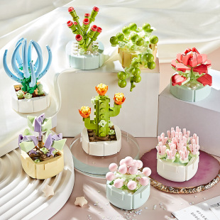 ��ͯ����С�w��ƴ��eľ�������{���X����ӡ�������Էeľģ�����