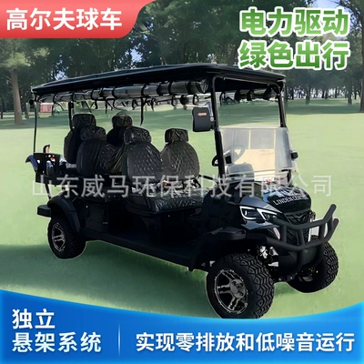 Electric Golf: Gaofe Auto Parts and Accessories