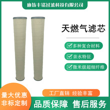 厂家供应天然气滤芯 燃气滤芯 玻璃纤维材质 聚结纤维材质