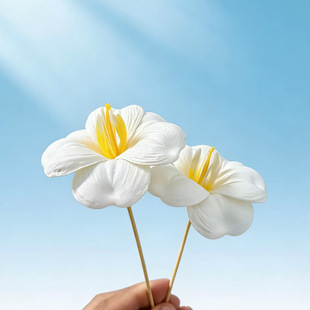 ���S�߼����_�������㻨�^���滨 ���ϻ��Y����������diy�������l