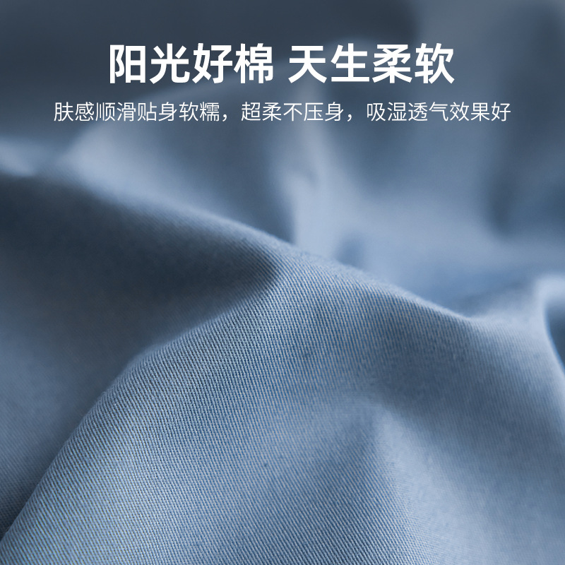 Ropa de cama de algodón de cuatro piezas de cama de algodón simple moderna, funda de edredón 2025 nueva ropa de cama de tres piezas para estudiantes