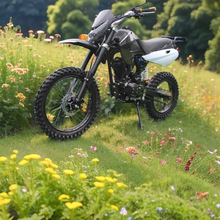 ˫����ԽҰ150CC����ԽҰ�����г������ԽҰĦ�����ֳ�ȼ�ͳ���