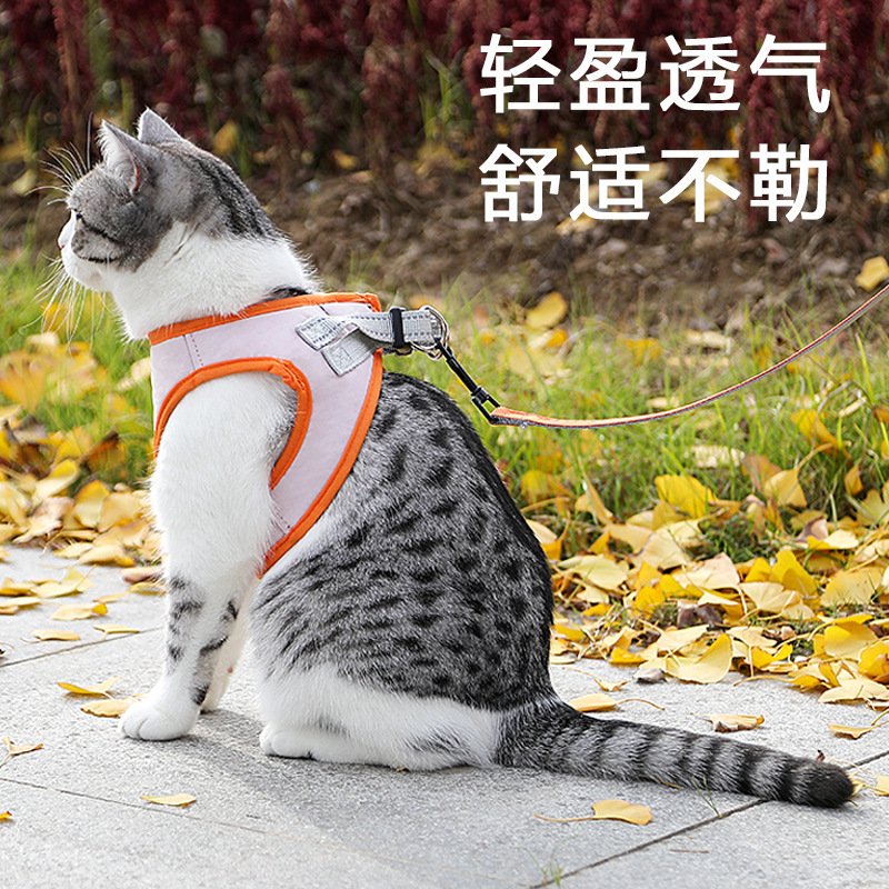 Correa de perro transfronteriza correa de pecho de perro pequeño Chaleco de correa de perro de peluche correa de perro de oso