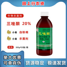 建农 三唑酮20% 果树锈病月季多肉花卉小麦白粉病农药杀菌剂300g