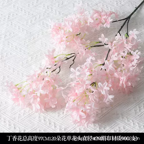 Lilac pink