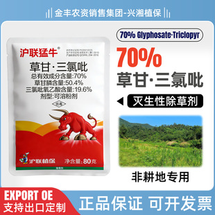 ����ţ70%�ݸ����������݄��Ǹ����s������������������ݸ��