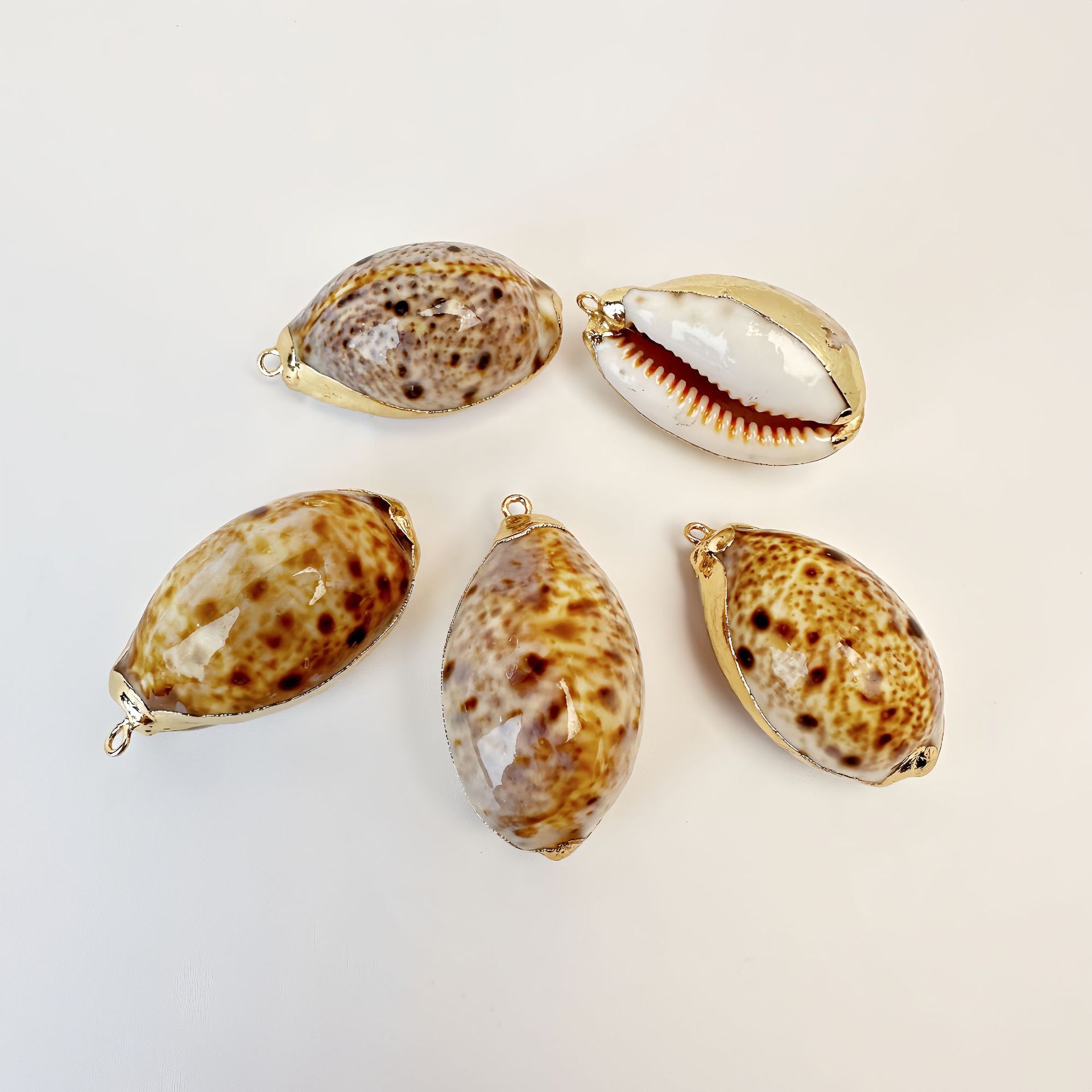 50 링크스 달팽이