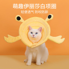 Cartoon Elizabeth Collar for Neutering, Anti-Licking, Neck Collar for Cats and Dogs, Pet Accessory