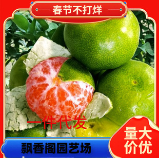 �c�ʵ۸̽�����ؕ����ɰ�ǽ�������޽ӹ��������Ե��Ԯ���Y��