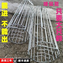 ����������ȫ�p�T�A���F��\������\����\ȫ�Ԅ����M�o������\