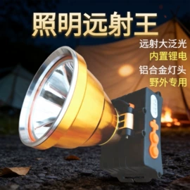 头灯头戴电筒;手电筒;野营/露营灯