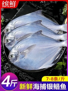 �y�K�~���r��������r���K�~���~���~ƽ�~�c�~���~���rˮ�a�ǽ��K