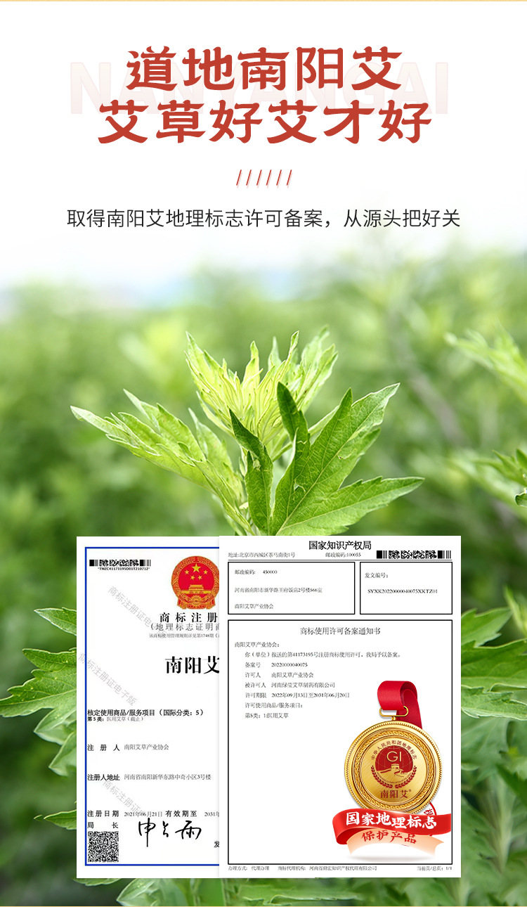 Moxa Cones Ai Zhu 35:1 Five-Year Aged Pure Mugwort Moxibustion Cones 54 Pieces per Board key features