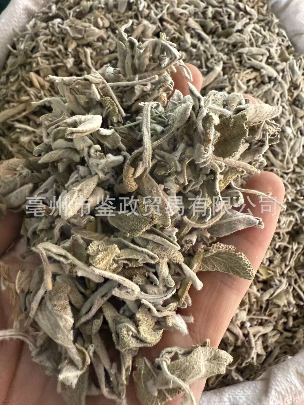Dried Sage Leaves 500g Salvia officinalis Culinary Herb for Western Cooking and Herbal Tea specifications