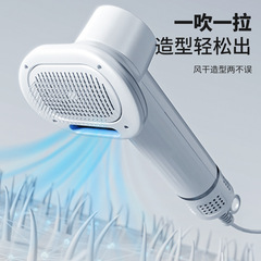 Pet Smart Comb and Blow Dryer Combo for Cats and Dogs, Hair Removal Brush, Grooming Tool
