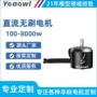 无刷水下清洁电动电机