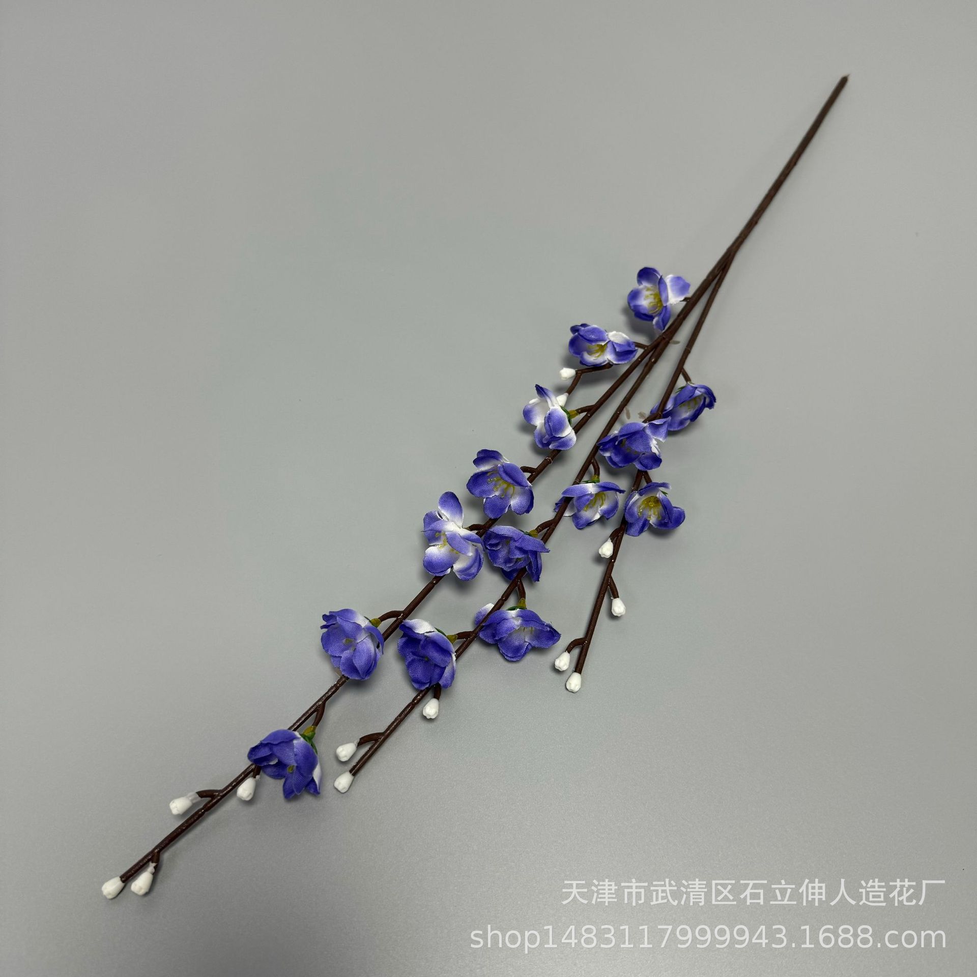 작은 3갈래 파란색