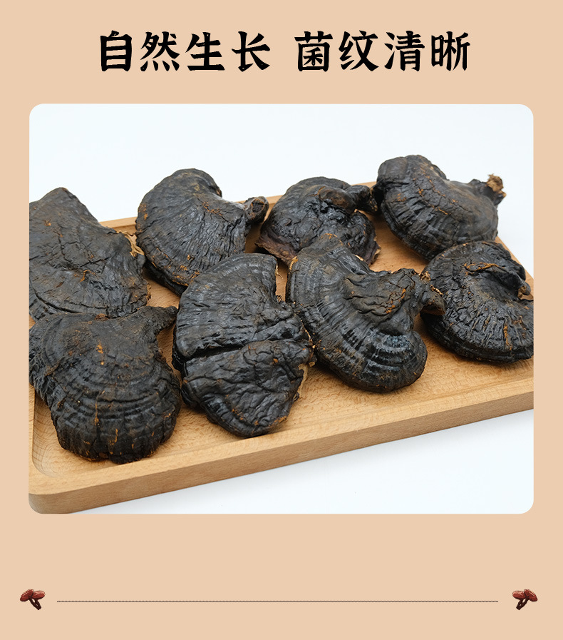 Whole Reishi Mushroom Changbai Mountain Dried Lingzhi Gift Box Nourishing Herbal Wellness quality and texture