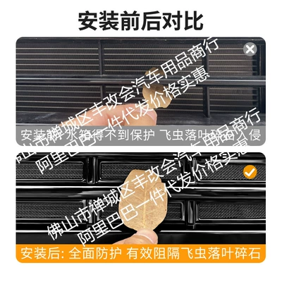 Automobile anti-insect net: Special Modification Decorative Strip Car