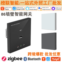 跨境工厂涂鸦无线多模网关 智慧家庭 蓝牙Zigbee智能家居中枢网关