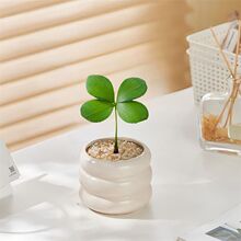 ���~��ī�����F�����\������k���҃�����Gֲ��������ֲ���ݗ��