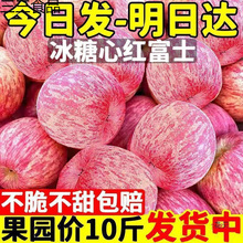 崨tʿOˮr䮔ƽİ]Ƽ