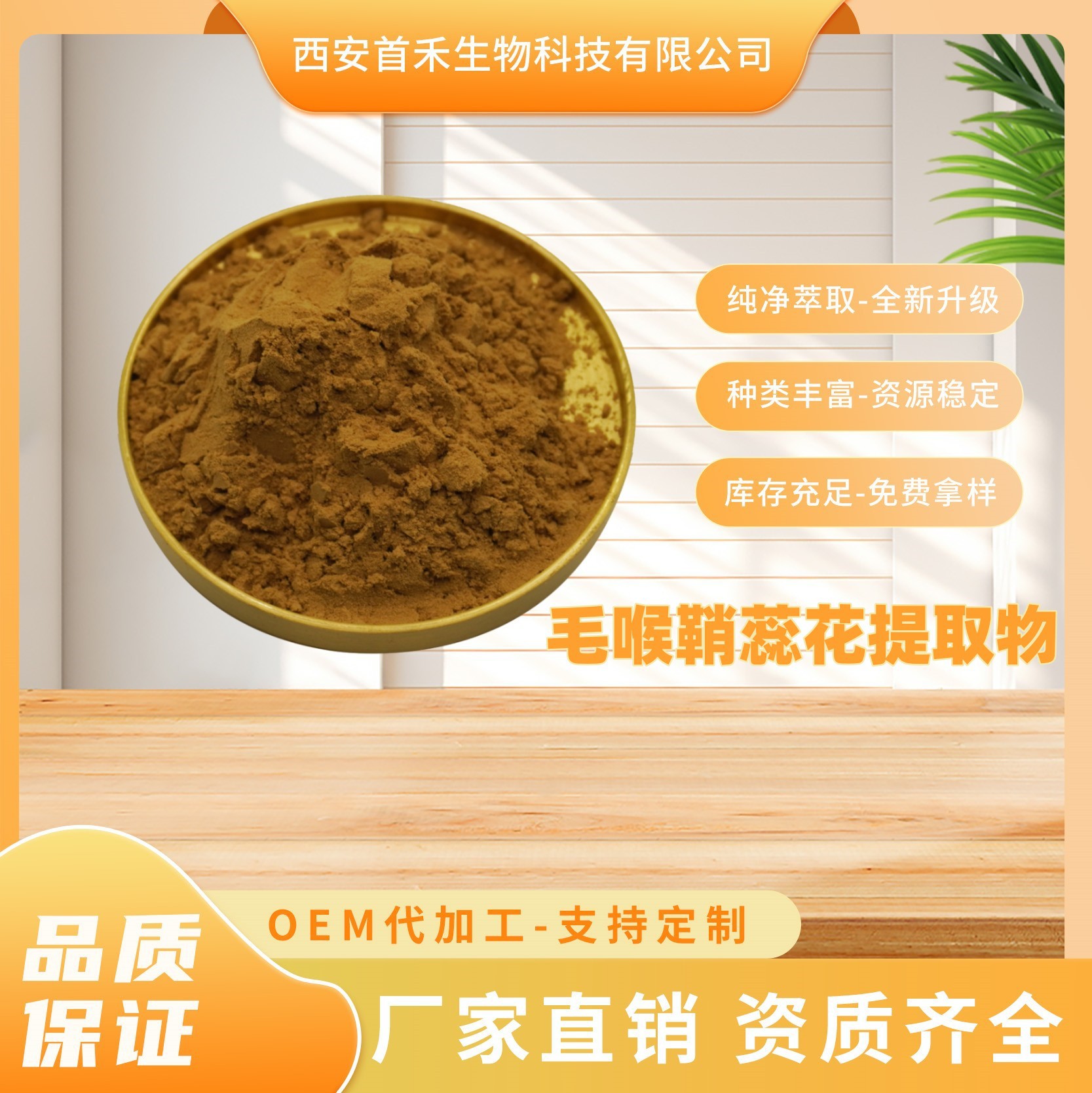 毛喉鞘蕊花提取物10:1弗斯可林毛喉素佛司可林福斯高林66575-29-9