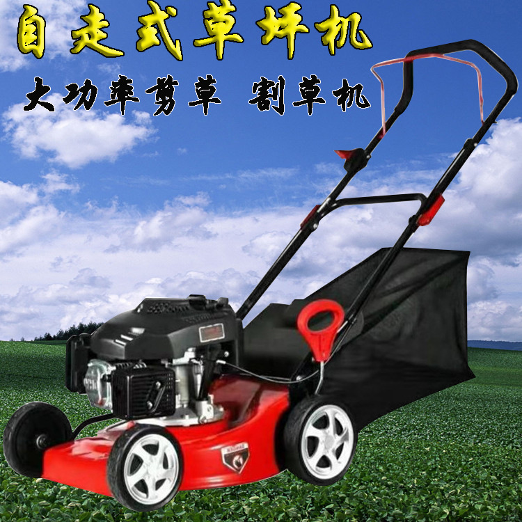 GXV160汽油21寸自走式草坪机 校园社区公园庭院草坪修剪机 割草机