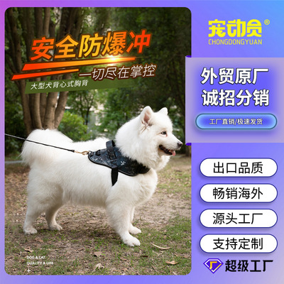 Pets product customized Thoracolumbar band Large dogs vest Saddle Dogs Thoracolumbar band Netbag Portable Manufactor wholesale