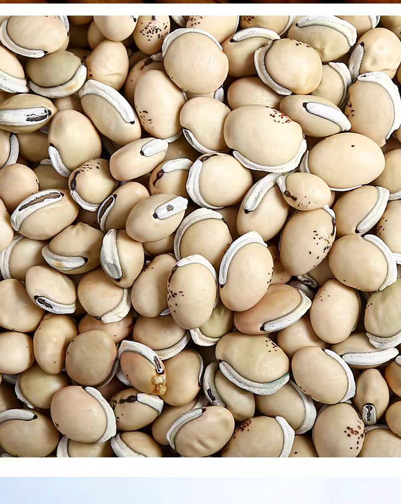 Bai Bian Dou (Dolichos lablab) — Yunnan Heirloom White Hyacinth Beans, Sulfur-Free Dried Food Herb preparation