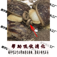 ΁ţ�}���������΁ţ��Ȼ��B�}��Ҭ�����Bֳ���}ɳ��ϠI�B��ɳ