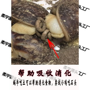 ΁ţ�}���������΁ţ��Ȼ��B�}��Ҭ�����Bֳ���}ɳ��ϠI�B��ɳ