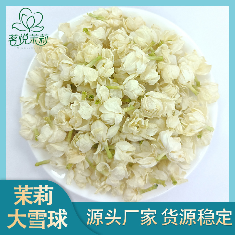 茉莉大雪球 茉莉花茶 茉莉花干  广西横州茉莉花厂家供应