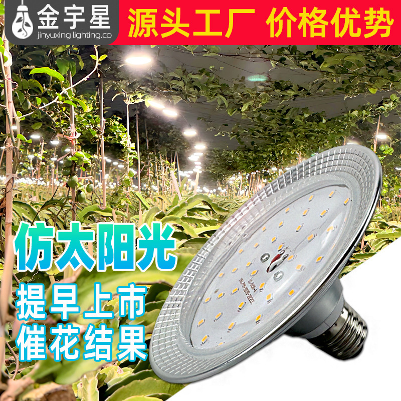 Full-Spectrum Plant Growth Supplementary Lighting Lamp for Dragon Fruit and Chrysanthemum Seedling Cultivation, Simulating Sunlight Photosynthesis