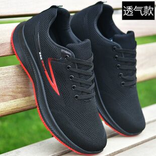 2025�І�Ь�\��͸���w�����eЬ��ˮ����Ƥ��ţ�͸����l���Q����