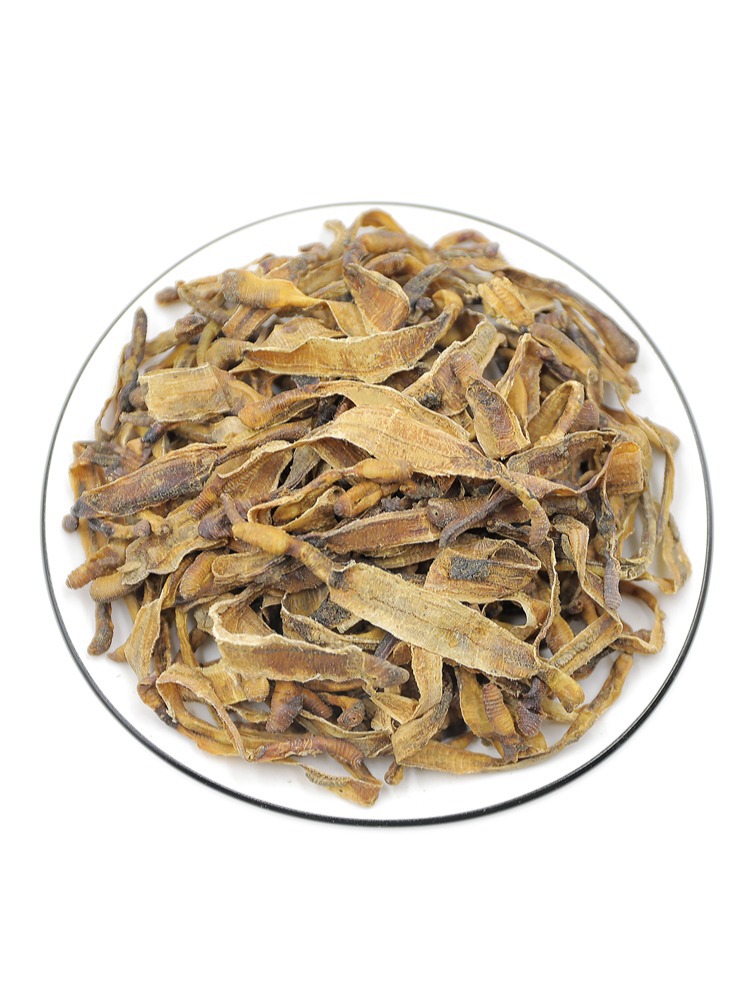 Dried Earthworm Di Long 500g Half-Cut Pheretima Traditional Chinese Herb Guangdong Origin specifications