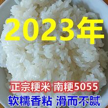 2023斤斤江苏软南糯505大米粳年粳米5105常州香米新米50kg斤斤10