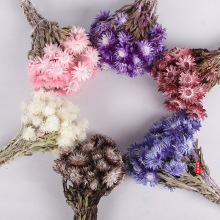 ��ʯ���ɻ���ѩɏ�������߼����滨�������޼Ҿ�ܛ�b�b��r�ջ���