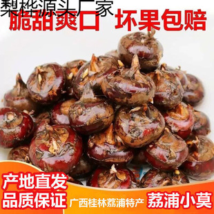 �V�������R���J׼СĪ��ݩ�j�������r�ش���r���خa���]һ�����]