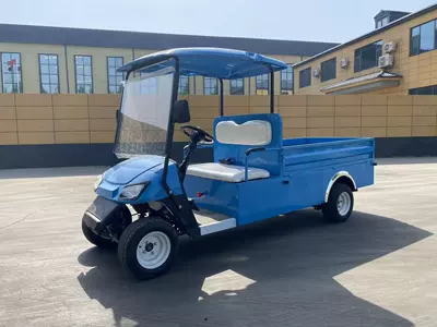 vehicle, sightseeing vehicle, Elektrikli qolf avtomobilləri - 2-seater-cargo-box-golf-cart